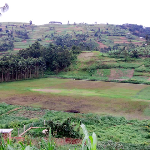 Großes, grünes Spielfeld an der St. Konrad Schule Uganda, umgeben von hügeliger und bewaldeter Landschaft, für sportliche Aktivitäten und Freizeit der Schüler.